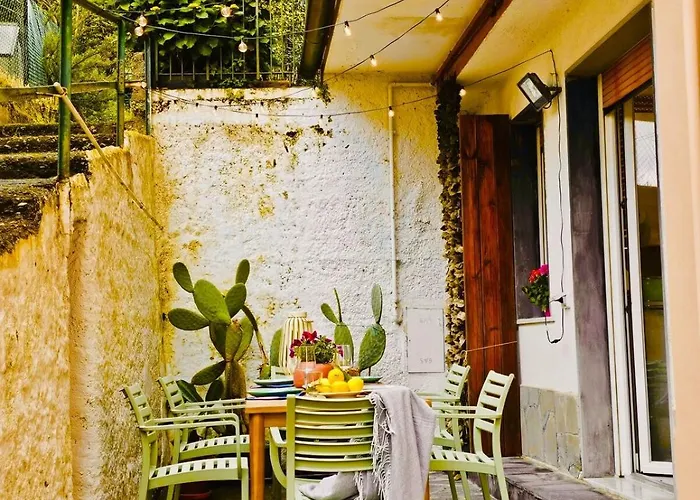 Claudia's Luxurious Garden