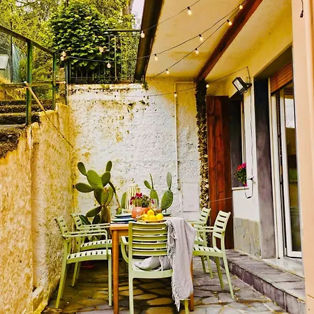 Claudia's Luxurious Garden